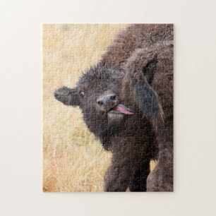 bison jigsaw puzzle