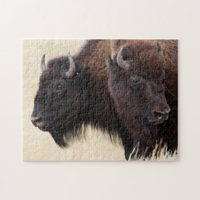 bison jigsaw puzzle (Horizontal)