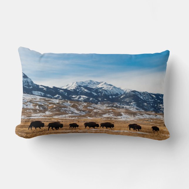 Bison Migration Lumbar Cushion (Front)