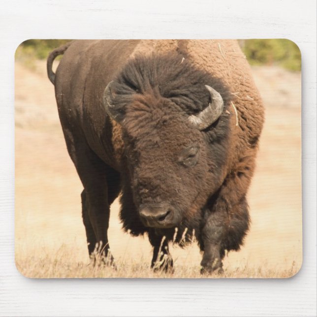 Bison Mouse Pad (Front)