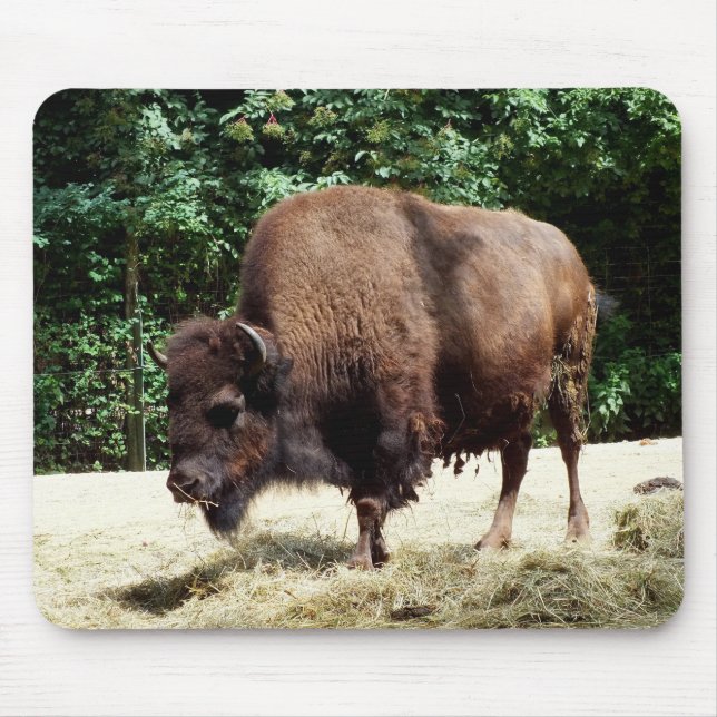 Bison Mouse Pad (Front)