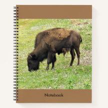 Bison Notebook