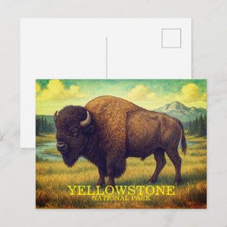 Bison of Yellowstone National Park, Wyoming Postcard
