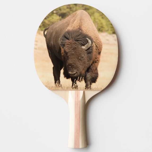 Bison Ping Pong Paddle (Front)
