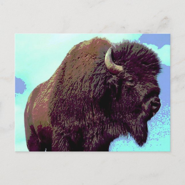 Bison Pop Art Postcard (Front)