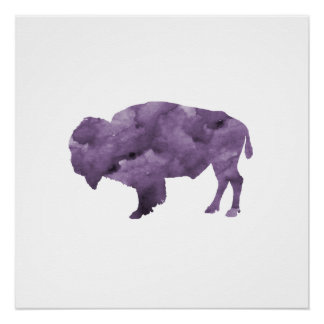 Bison Poster