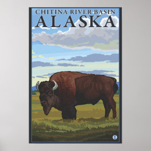 Bison Scene - Chitina River Basin, Alaska Poster