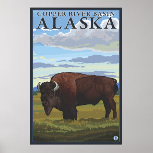 Bison Scene - Copper River Basin, Alaska Poster