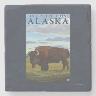Bison Scene - Delta Junction, Alaska Stone Coaster