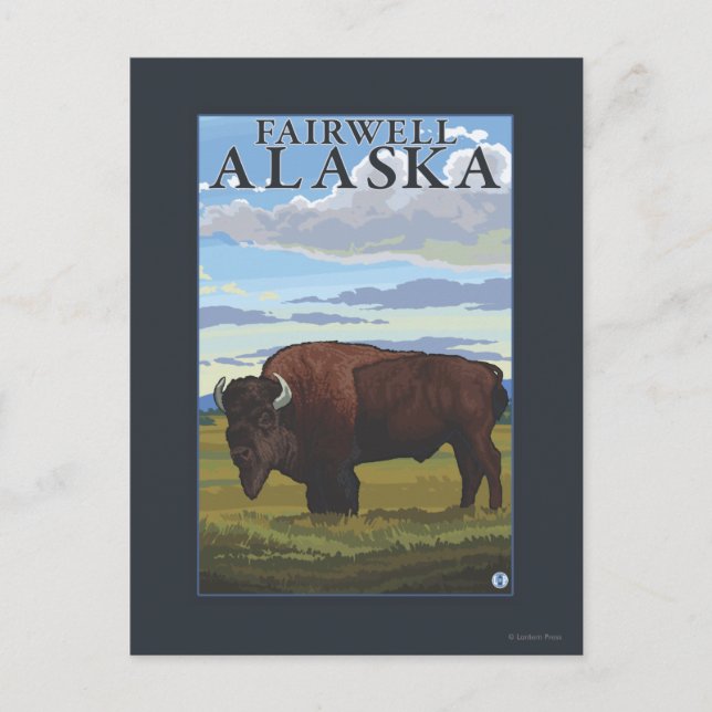 Bison Scene - Fairwell, Alaska Postcard (Front)