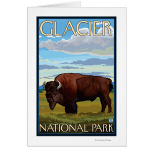 Bison Scene - Glacier National Park, MT