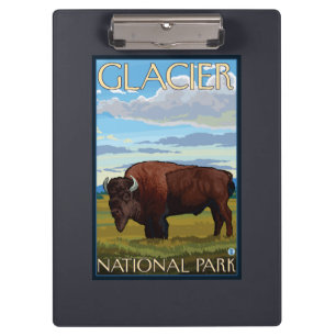 Bison Scene - Glacier National Park, MT Clipboard