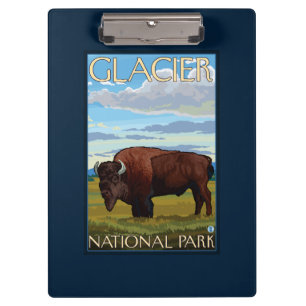 Bison Scene - Glacier National Park, MT Clipboard