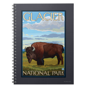 Bison Scene - Glacier National Park, MT Notebook