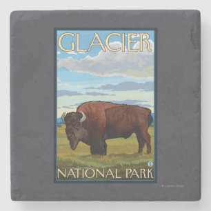 Bison Scene - Glacier National Park, MT Stone Coaster
