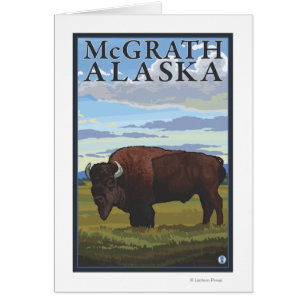 Bison Scene - McGrath, Alaska