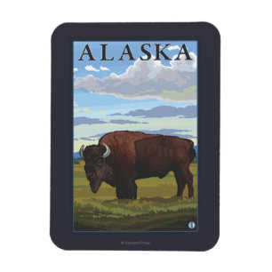 Bison Scene- Vintage Travel Poster Magnet