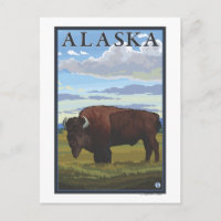 Bison Scene- Vintage Travel Poster