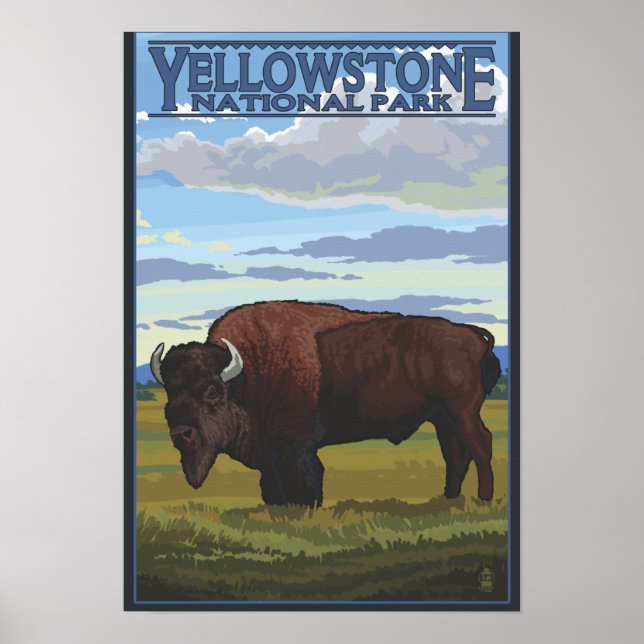 Bison Scene - Yellowstone National Park Poster (Front)