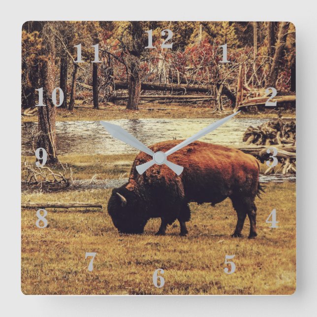 Bison Square Wall Clock (Front)