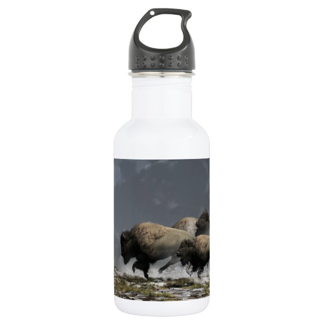 Bison Stampede 532 Ml Water Bottle (Front)