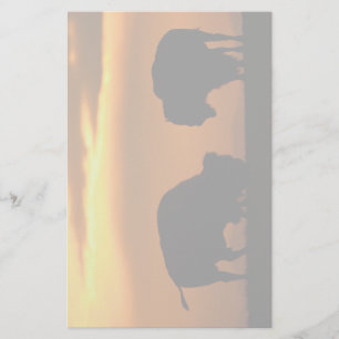 bison stationery