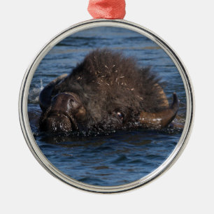 bison swimming metal ornament
