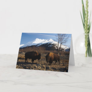Bison Tet-a-Tet Card