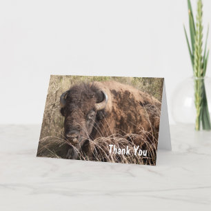 Bison thank you card