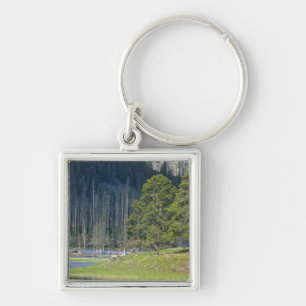 Bison with calf at Yellowstone National Park Key Ring