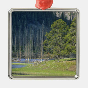 Bison with calf at Yellowstone National Park Metal Tree Decoration