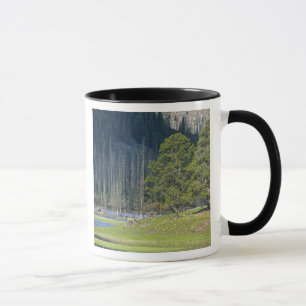 Bison with calf at Yellowstone National Park Mug