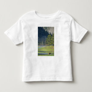 Bison with calf at Yellowstone National Park Toddler T-Shirt