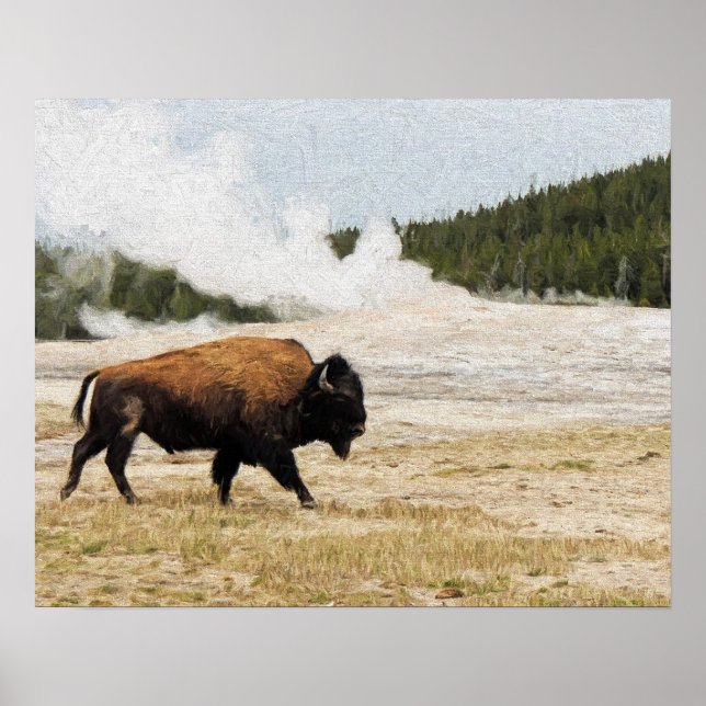 Bison with Old Faithful in Yellowstone Poster (Front)