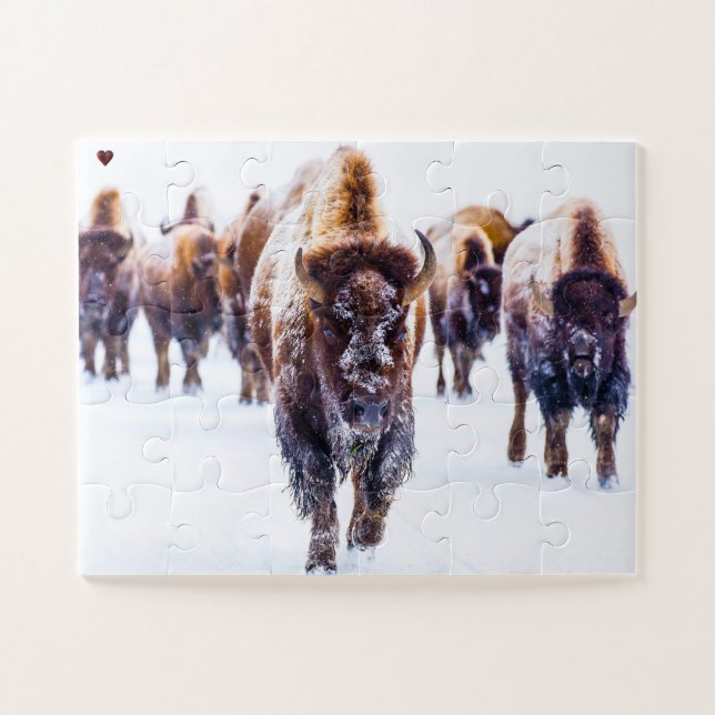 Bison Yellowstone Wyoming Jigsaw Puzzle (Horizontal)