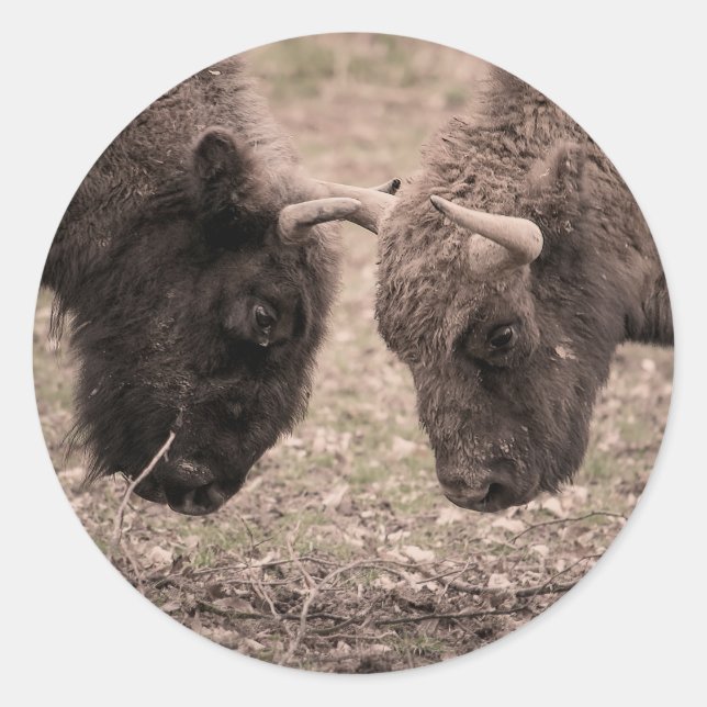 Bisons Classic Round Sticker (Front)