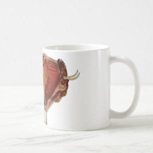 Bisonte ~ Altamira Spain ~ Cave Drawing Coffee Mug
