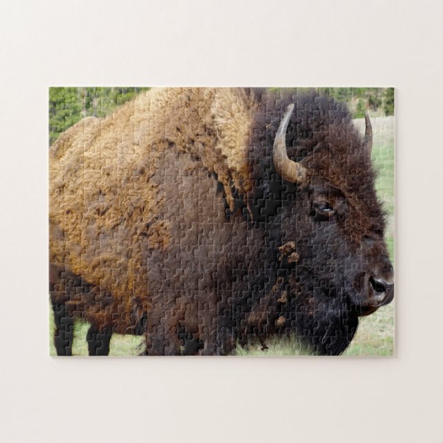 Bisson Montana. Jigsaw Puzzle (Horizontal)