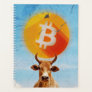 Bitcoin Resilient Bull Planner