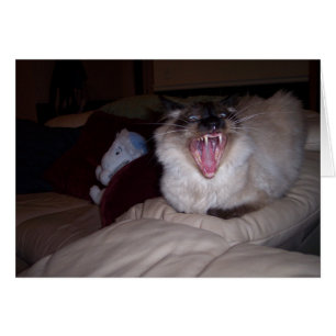 Bite ME!