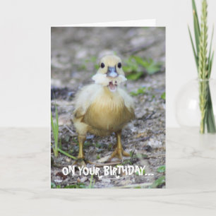 Bite off more than you can chew card