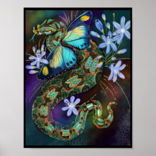 Bitis Nasicornis Butterfly Viper Poster