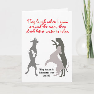 Bitter Water Zoomies Great Dane Advice for Humans Holiday Card