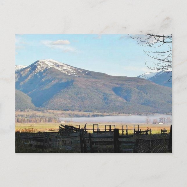 Bitterroot Mountains Fields Postcard (Front)