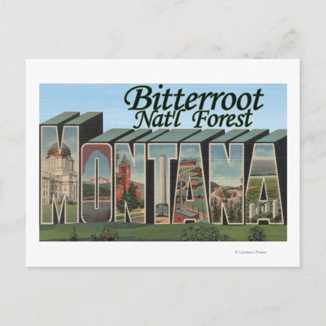 Bitterroot Nat'l Forest, Montana Postcard (Front)