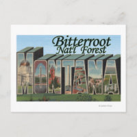Bitterroot Nat'l Forest, Montana
