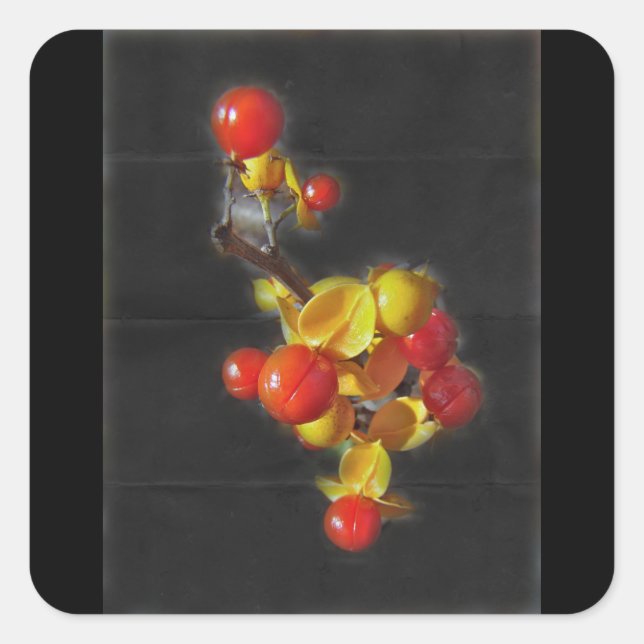 Bittersweet Berries - Autumn Beauty Square Sticker (Front)