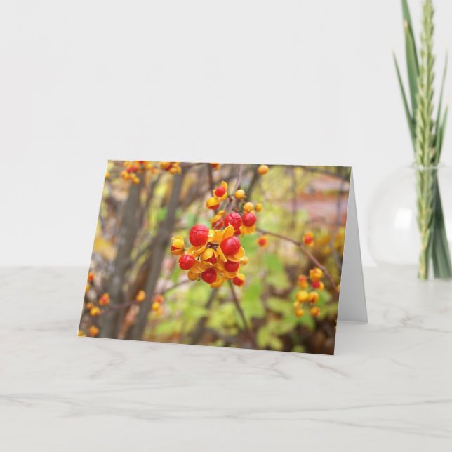 Bittersweet Berries Card (Front)