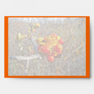 Bittersweet Vine Berries Items Envelopes