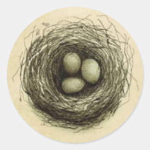 Bitty Bird Nest Classic Round Sticker